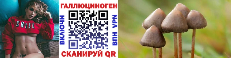 Псилоцибиновые грибы мухоморы  MEGA зеркало  Челябинск 